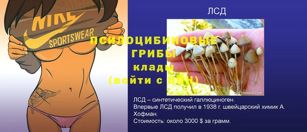 твердый Алексеевка