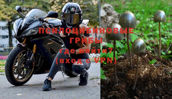 твердый Алексеевка