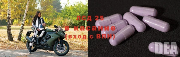 прущий лед Алзамай