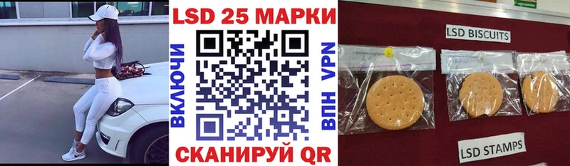 где купить наркоту  Кондопога  Марки 25I-NBOMe 1500мкг 