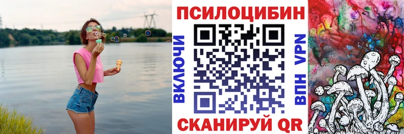 Псилоцибиновые грибы мицелий  Кондопога 