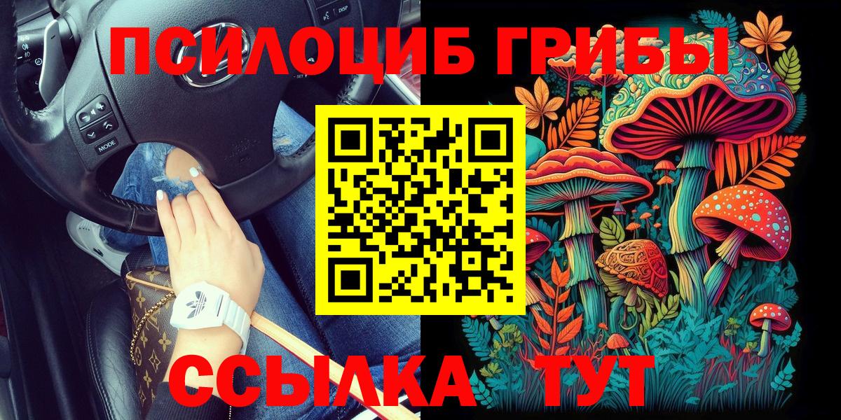 Псилоцибиновые грибы мицелий  Вход с VPN  Кондопога 