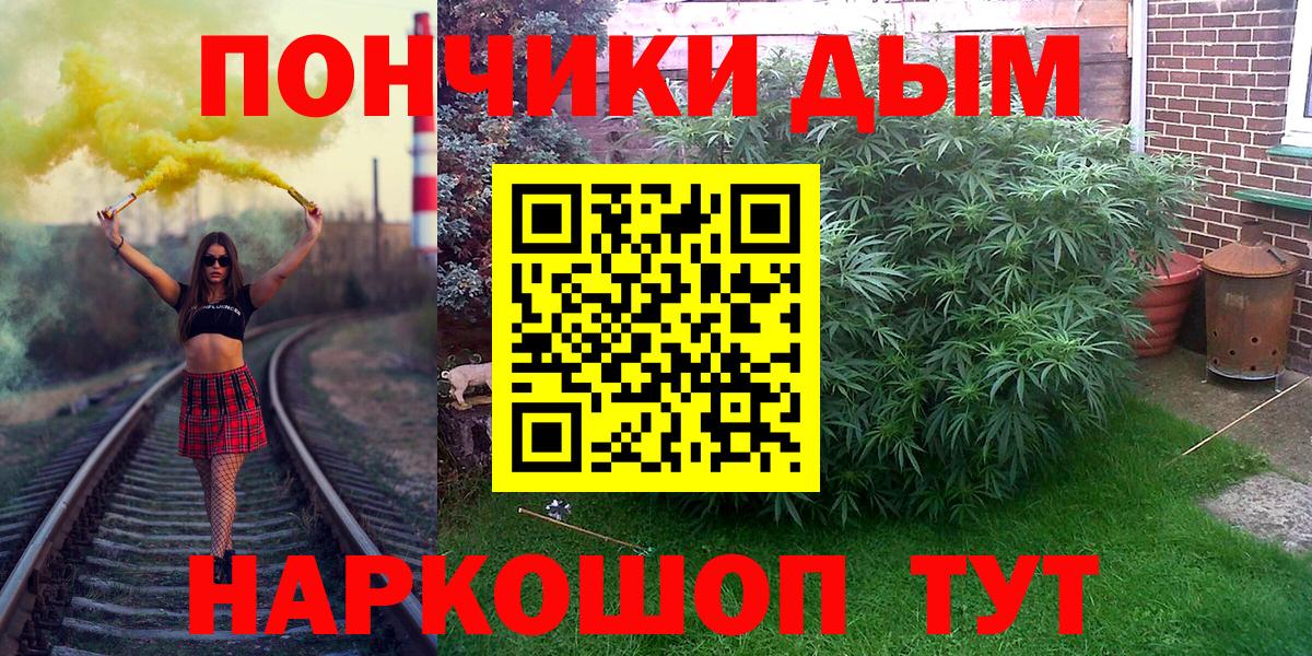 Бошки марихуана гибрид Кондопога